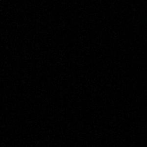 Meet your Posher, Trey